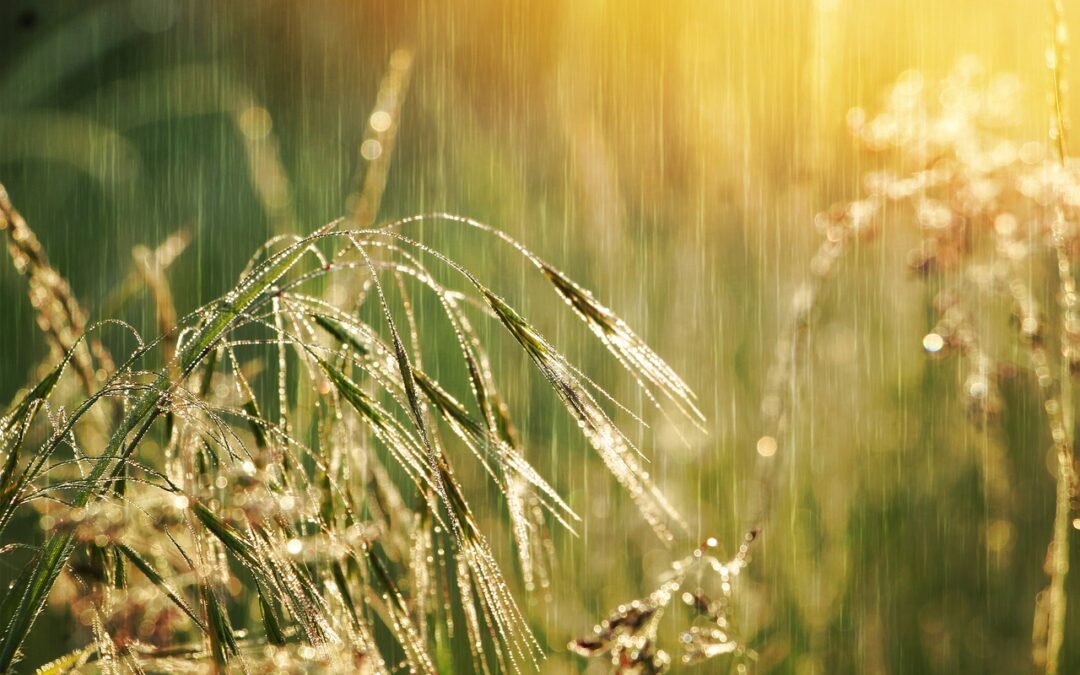 Mit Wetter starke Emotionen schreiben